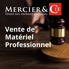 GRANDE VENTE DE MATERIEL PROFESSIONNEL - Vente du 23 avril 2025 à 9h30