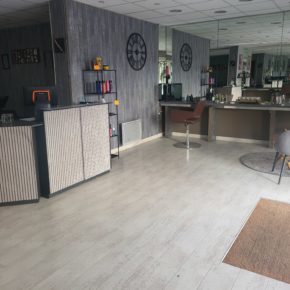 Suite Liquidation Judiciaire LA BELLE ET LE BARBU - 5 novembre 2025 à 9h30